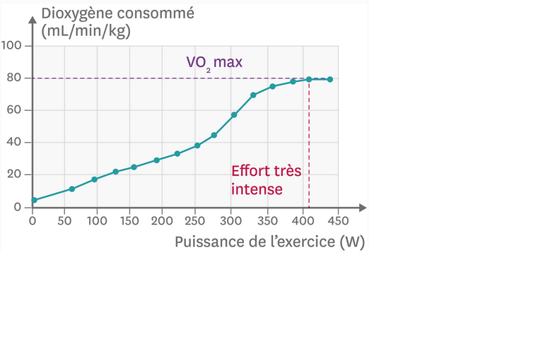 Svt Les Limites De L'organisme Face à L'effort Physique